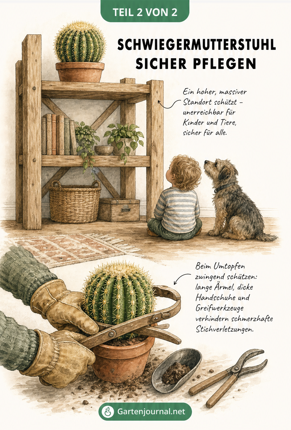 Aquarell-Illustration zur sicheren Pflege des Schwiegermutterstuhls: Kaktus auf hohem Regal außer Reichweite von Kind und Hund, sowie Hände mit dicken...
