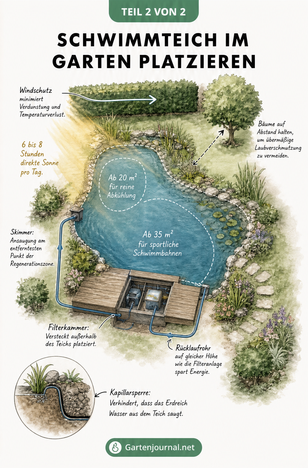 Aufsicht auf einen Garten mit Schwimmteich, Filterkammer und Bepflanzung