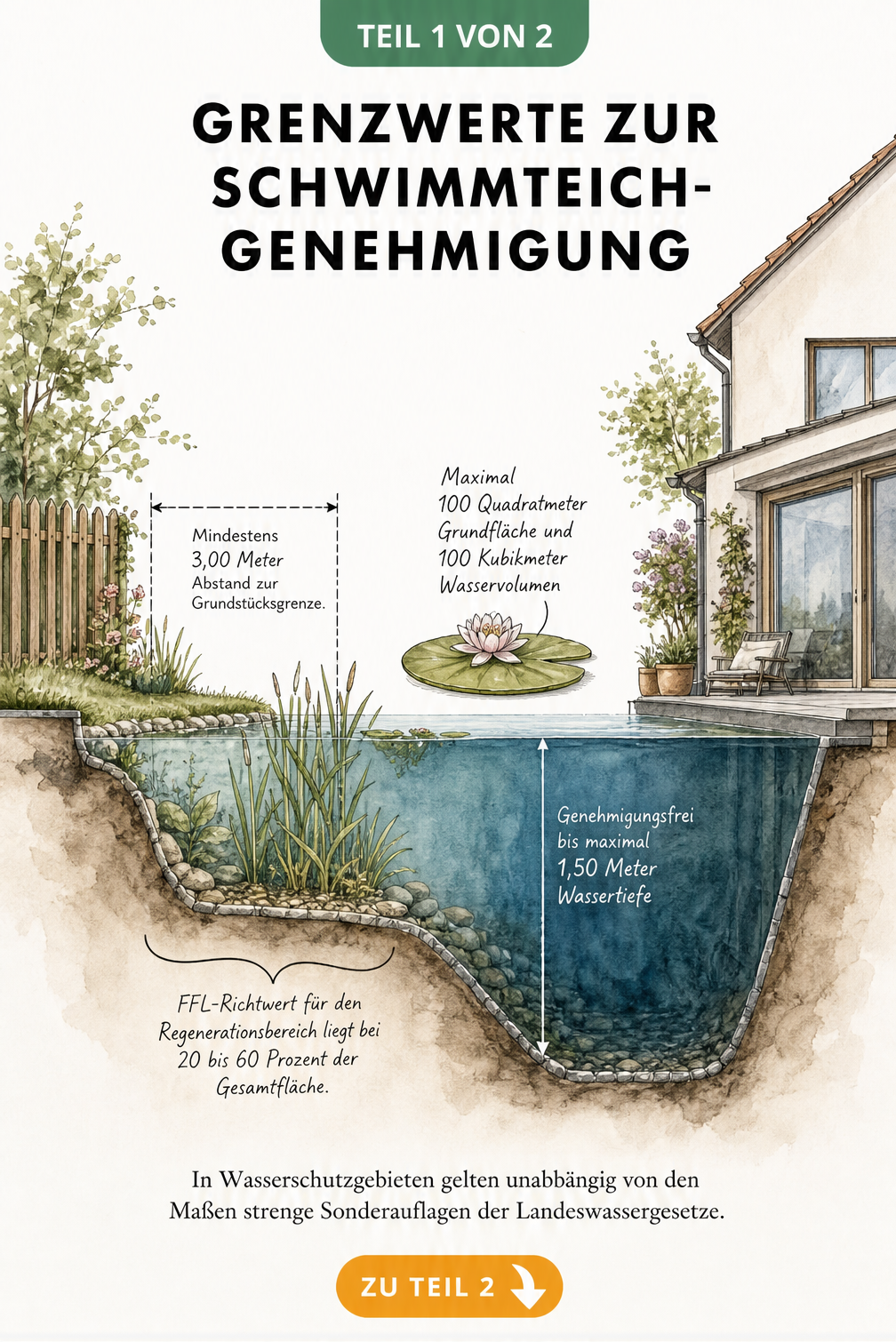 Architektonischer Querschnitt eines Schwimmteichs mit rechtlichen und baulichen Grenzwerten wie Abstand zur Grundstücksgrenze und Wassertiefe