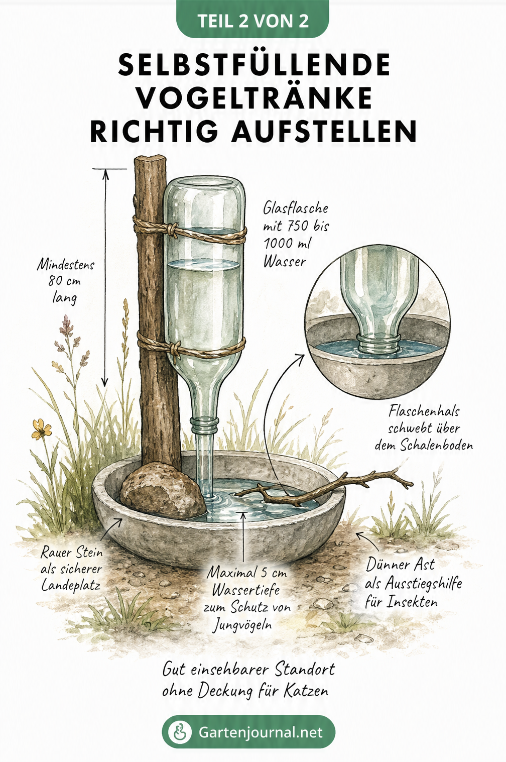 Illustration einer selbstfüllenden Vogeltränke mit umgedrehter Glasflasche an einem Ast über einer flachen Schale