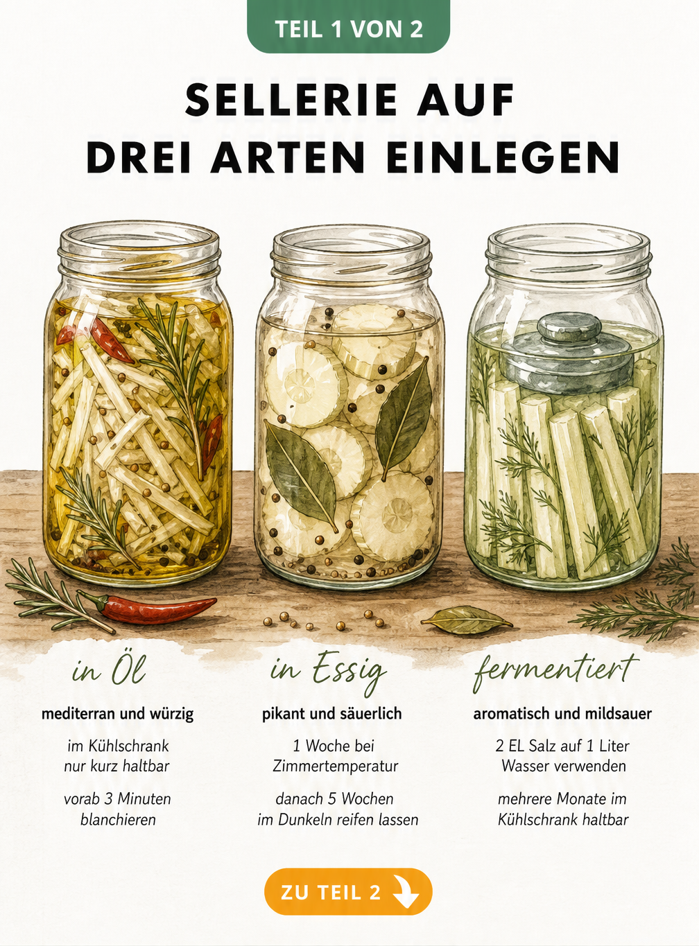 Drei Einmachgläser mit Sellerie auf einem Holztisch, die verschiedene Einlegemethoden zeigen: in Öl, in Essig und fermentiert.