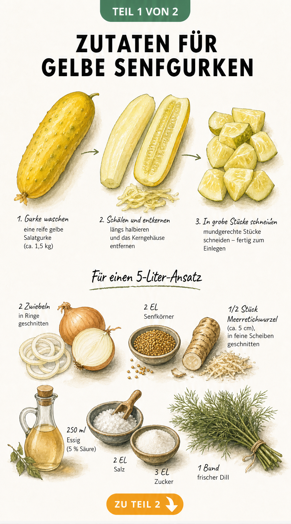 Illustration einer gelben Salatgurke, die geschält, halbiert und in Stücke geschnitten wird, mit Zutaten für einen 5-Liter-Ansatz Senfgurken