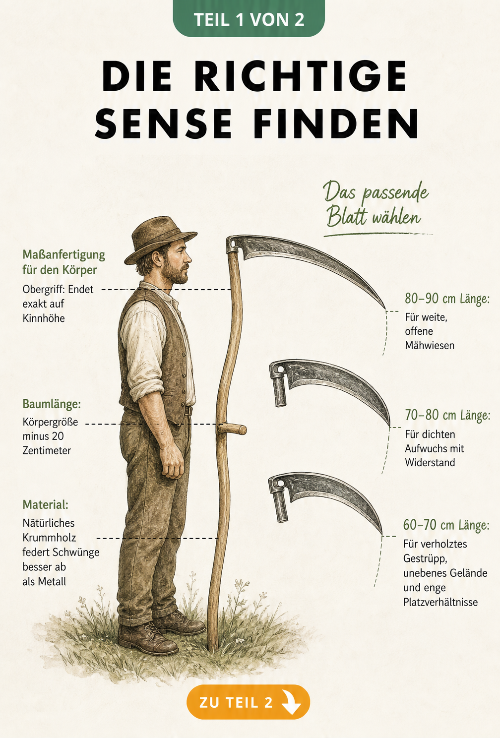 Illustration einer Person mit Sense zur Veranschaulichung der richtigen Baumlänge und Sensenblätter für verschiedene Einsatzzwecke