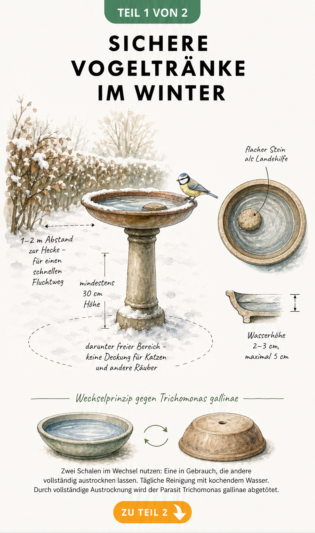 Illustration einer Vogeltränke im Winter mit Maßangaben für Höhe und Abstand zur Hecke sowie einer Detailansicht der Wasserschale.