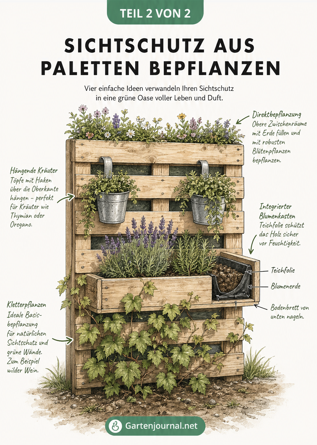 Illustration einer bepflanzten Europalette mit wildem Wein, integriertem Blumenkasten, Hängetöpfen und direkter Bepflanzung