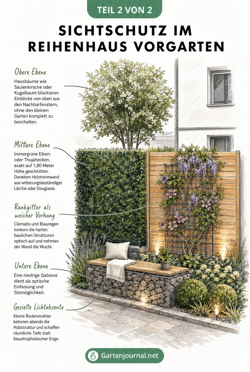 Schnittzeichnung eines Reihenhausvorgartens mit gestaffeltem Sichtschutz durch Hausbaum, Hecke, Holzwand und Gabione