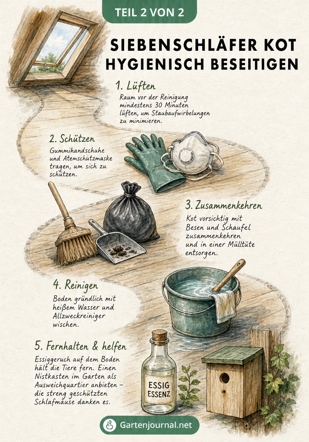 Illustration zur hygienischen Beseitigung von Siebenschläfer-Kot mit Schutzkleidung, Putzutensilien und Essig