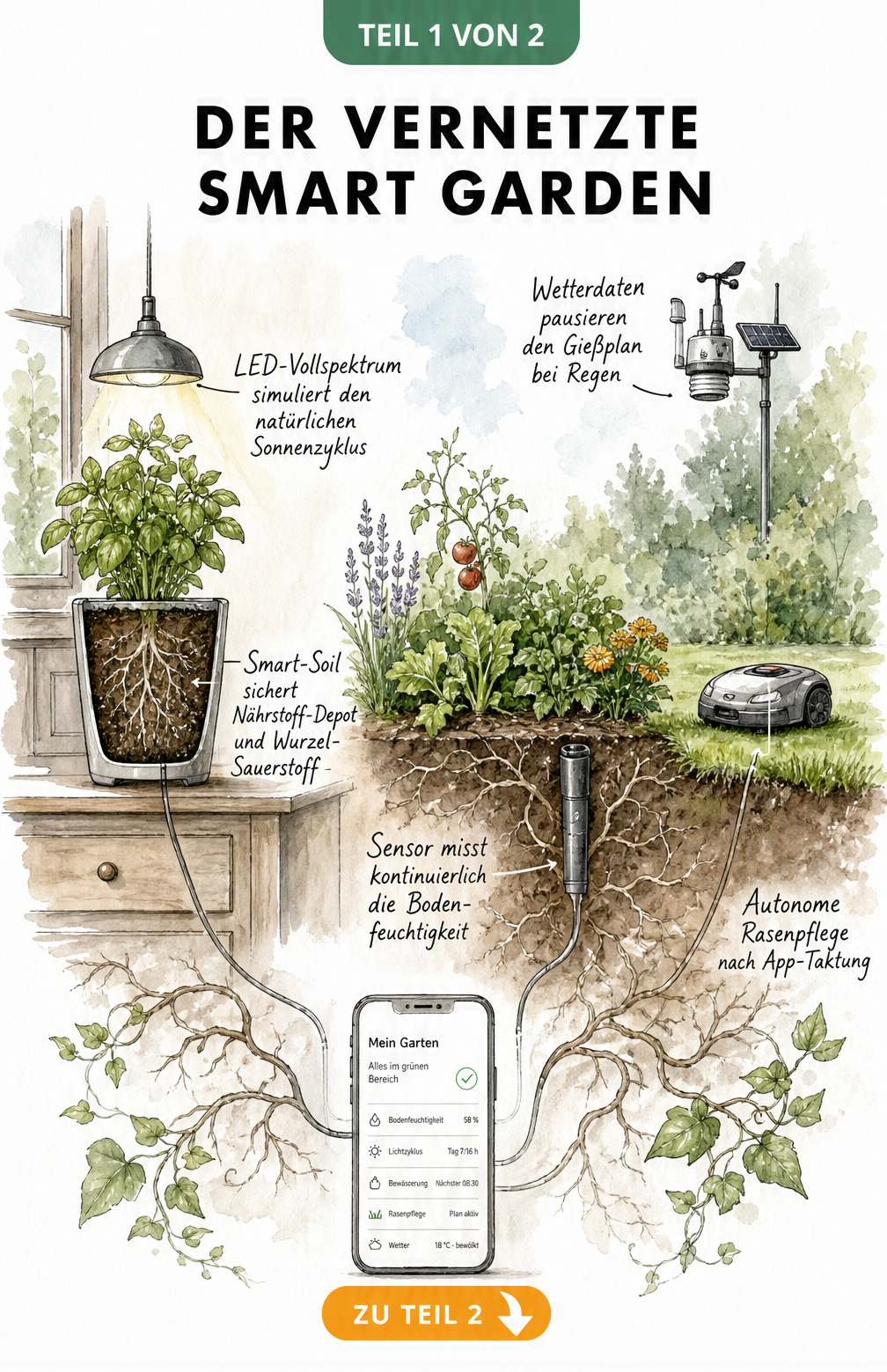 Schnittgrafik eines Smart Gardens mit Wurzelnetzwerk, das Innen- und Außenbereich verbindet