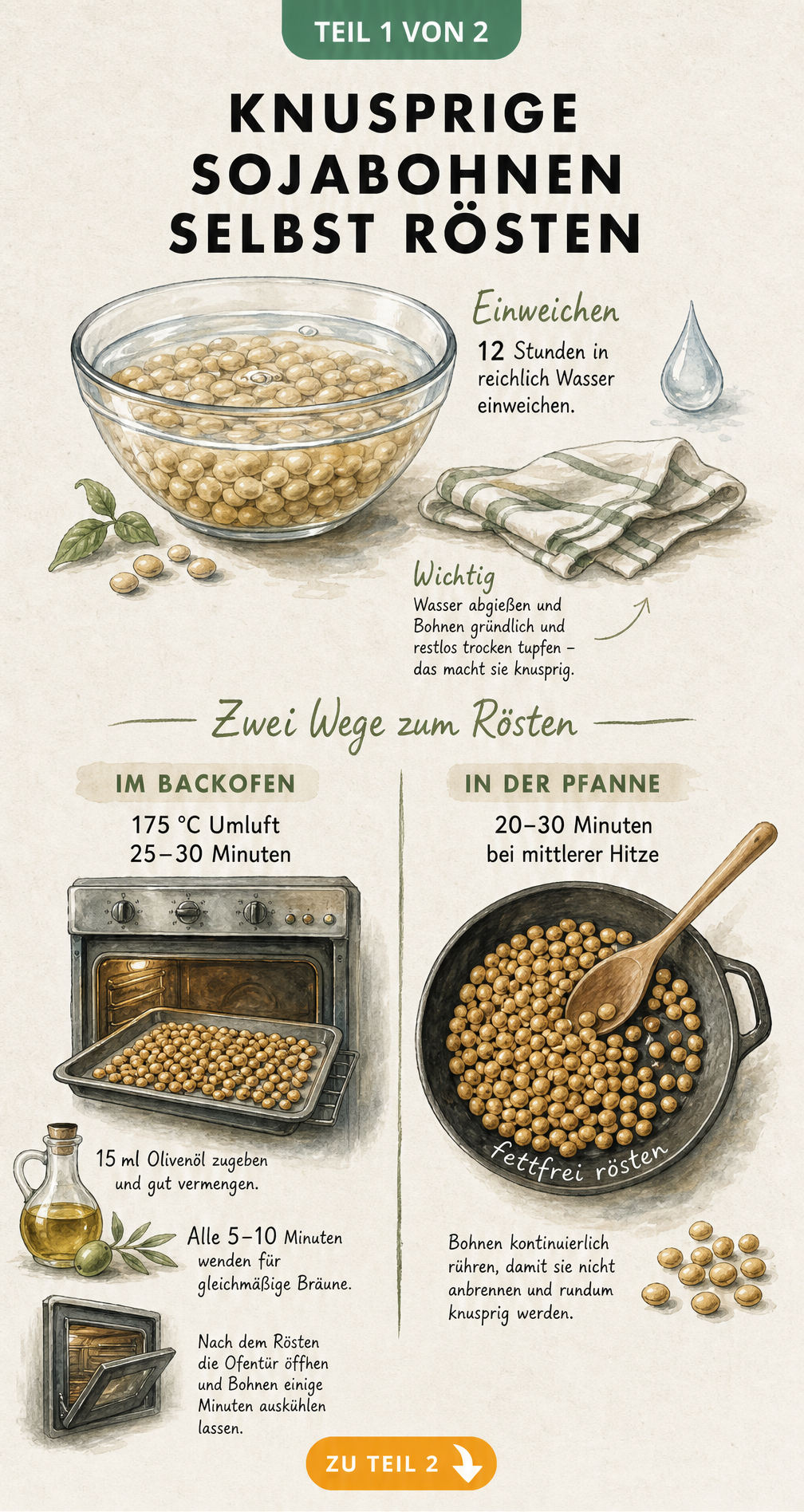Illustration der Vorbereitung und Röstung von Sojabohnen im Backofen und in der Pfanne