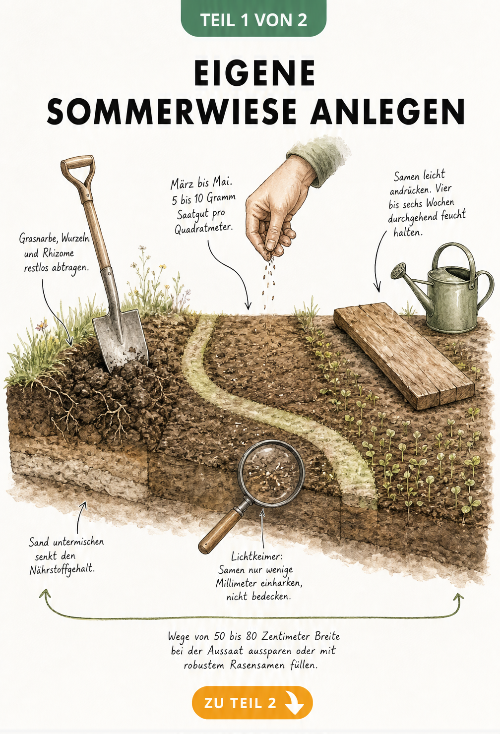 Illustration einer Sommerwiese im Querschnitt mit Spaten, Saatgut und Gießkanne zur Bodenvorbereitung und Aussaat