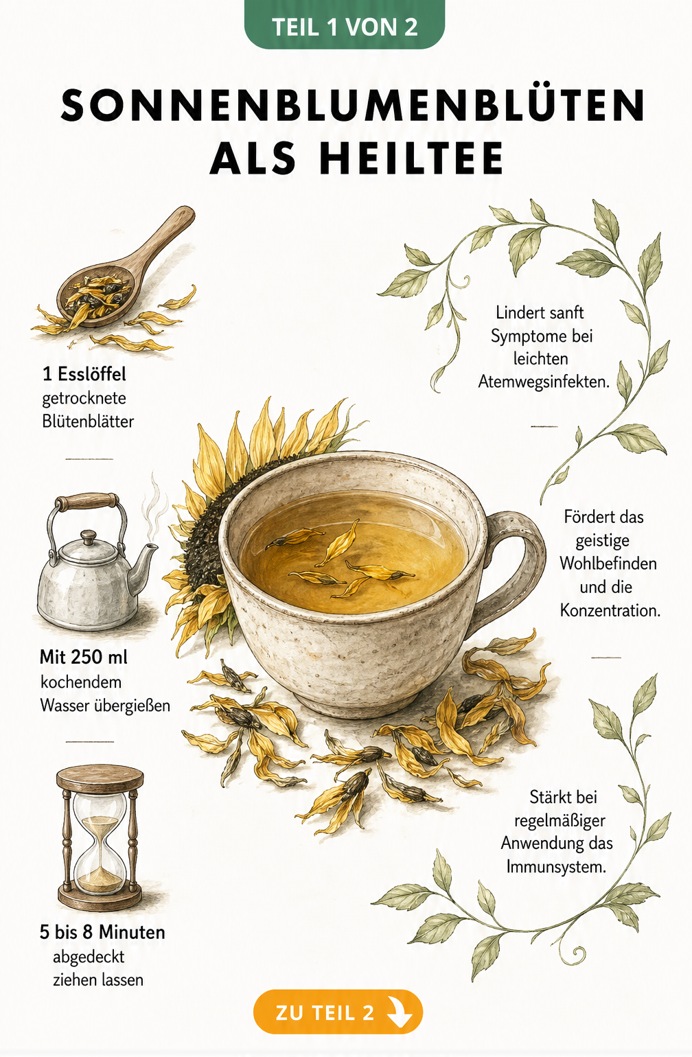 Aquarell-Illustration einer Teetasse mit Sonnenblumenblütentee und Anleitung zur Zubereitung