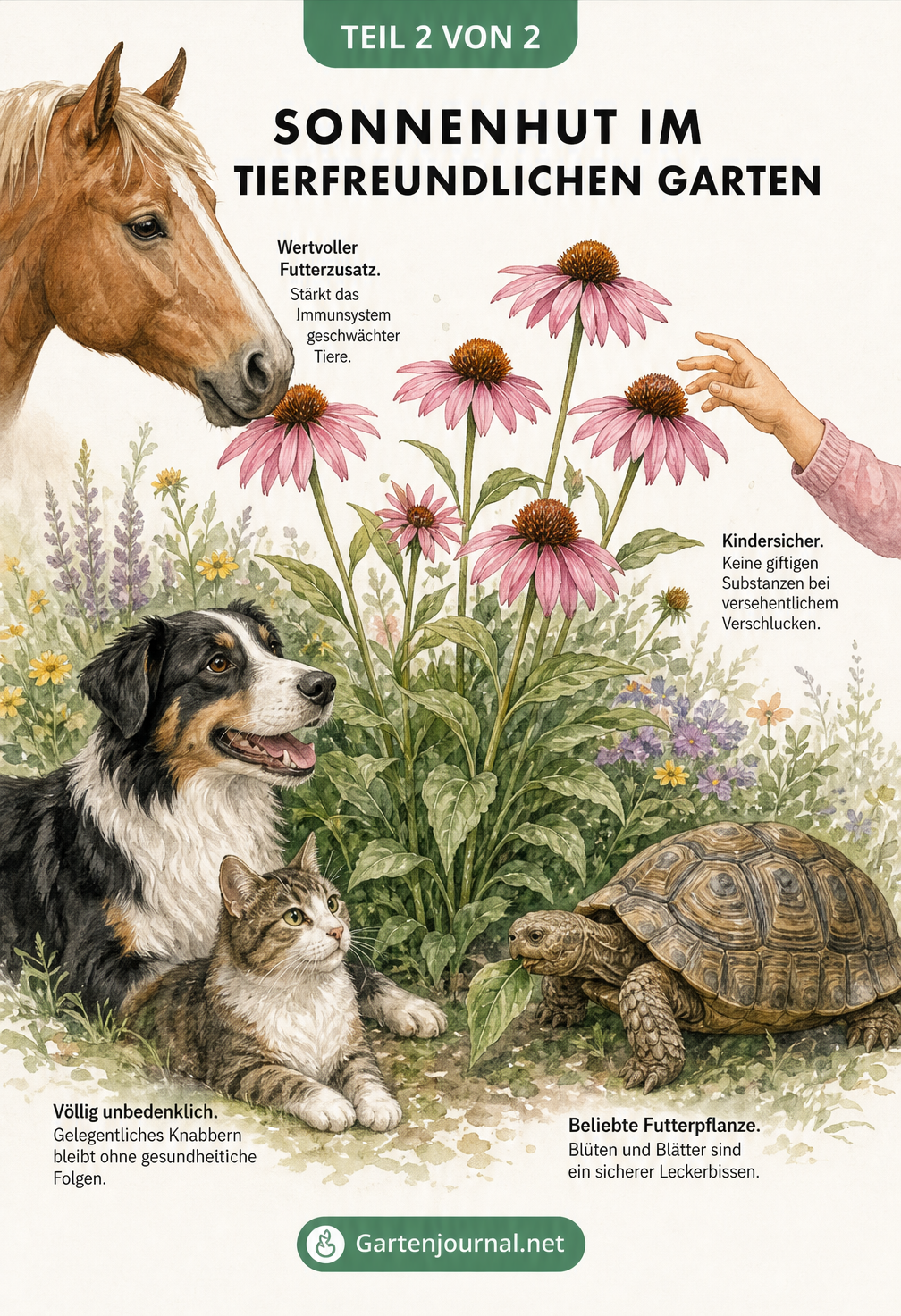 Handgezeichnete Gartenszene mit Hund, Katze, Schildkröte, Pferd und Kind rund um eine Sonnenhut-Staude