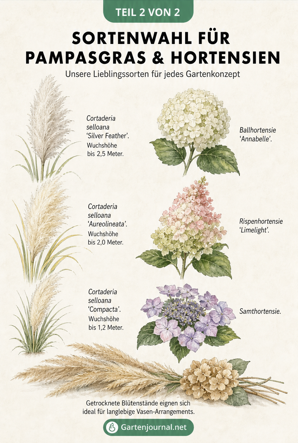 Botanische Tafel mit verschiedenen Sorten von Pampasgras und Hortensien sowie einem getrockneten Arrangement