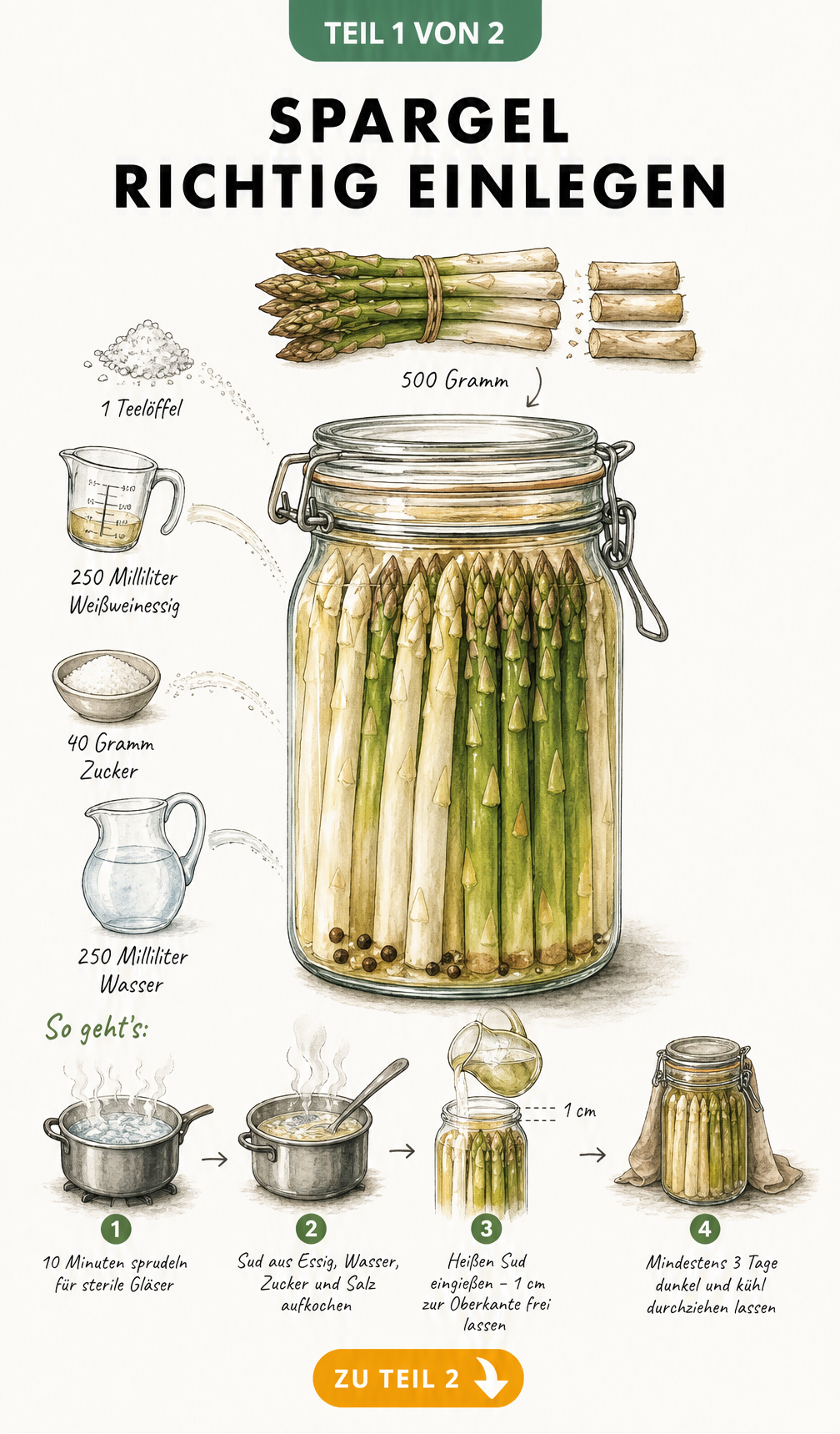 Illustration eines Einmachglases mit geschichtetem Spargel, umgeben von Zutaten wie Essig, Wasser, Zucker und Salz sowie einer Zeitachse zum Einlegen.