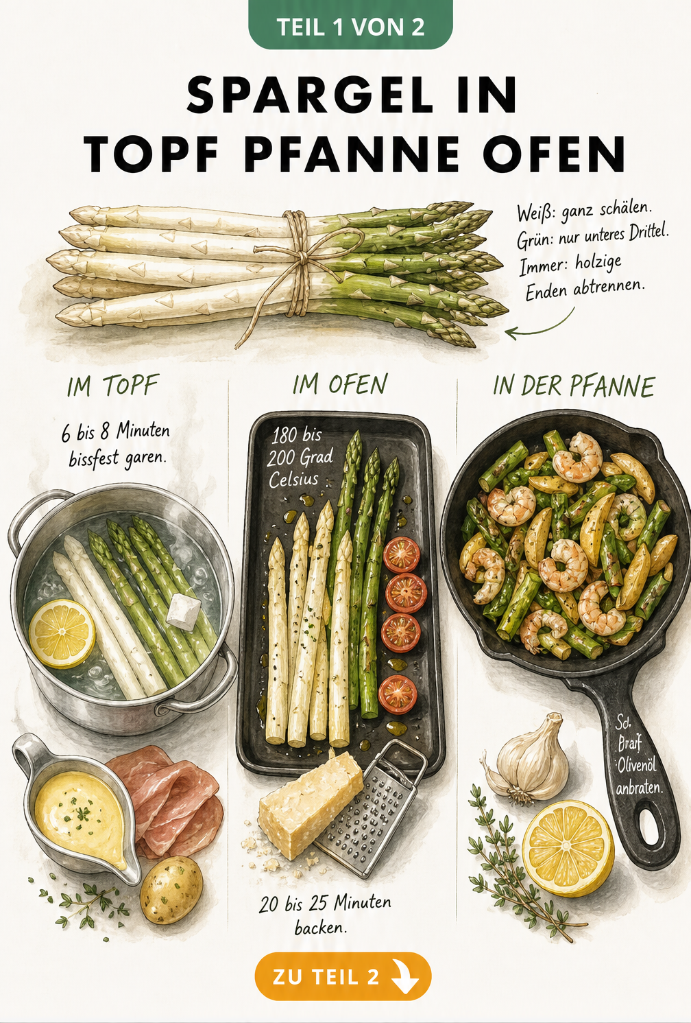 Illustration von Spargelzubereitung in Topf, Ofen und Pfanne mit Garzeiten und Zutaten