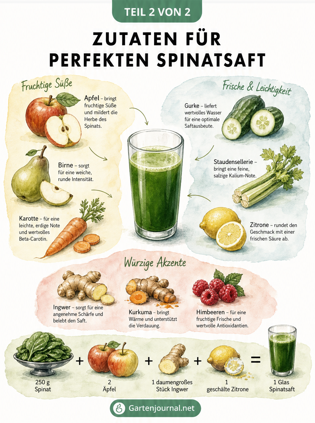 Aquarell-Illustration von Zutaten für Spinatsaft wie Apfel, Gurke, Sellerie und Ingwer