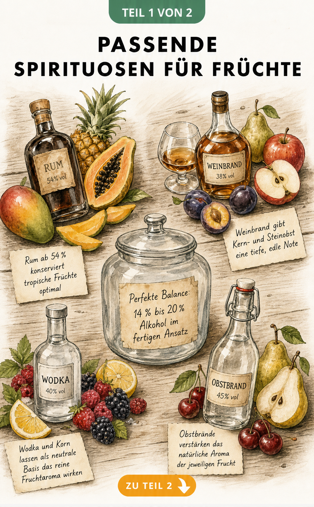Aquarell-Illustration verschiedener Spirituosen wie Rum, Weinbrand, Wodka und Obstbrand mit passenden Früchten zum Einlegen