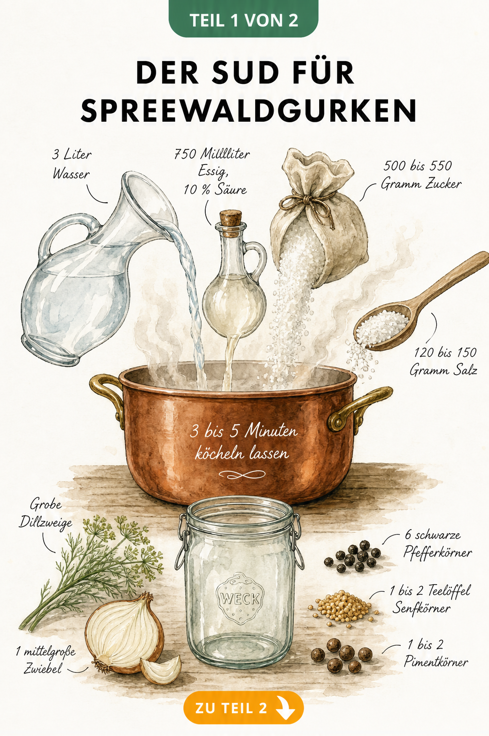 Illustration eines Kupfertopfs mit Zutaten für den Sud von Spreewaldgurken wie Wasser, Essig, Zucker und Salz sowie Gewürzen