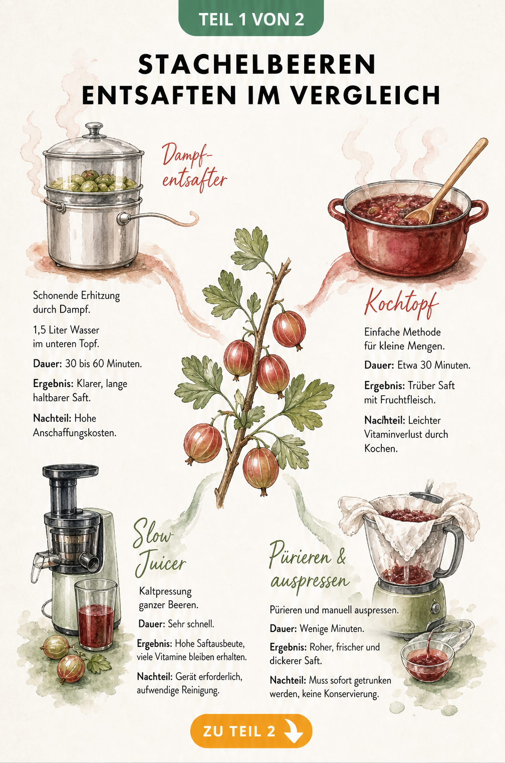 Illustration verschiedener Methoden zum Entsaften von Stachelbeeren: Dampfentsafter, Kochtopf, Slow Juicer und Passiertuch