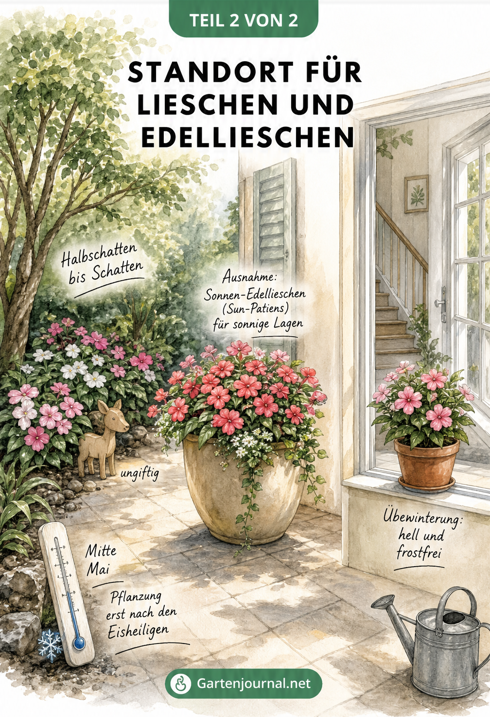 Illustration der optimalen Standorte für Lieschen und Edellieschen in Garten, Terrasse und Haus
