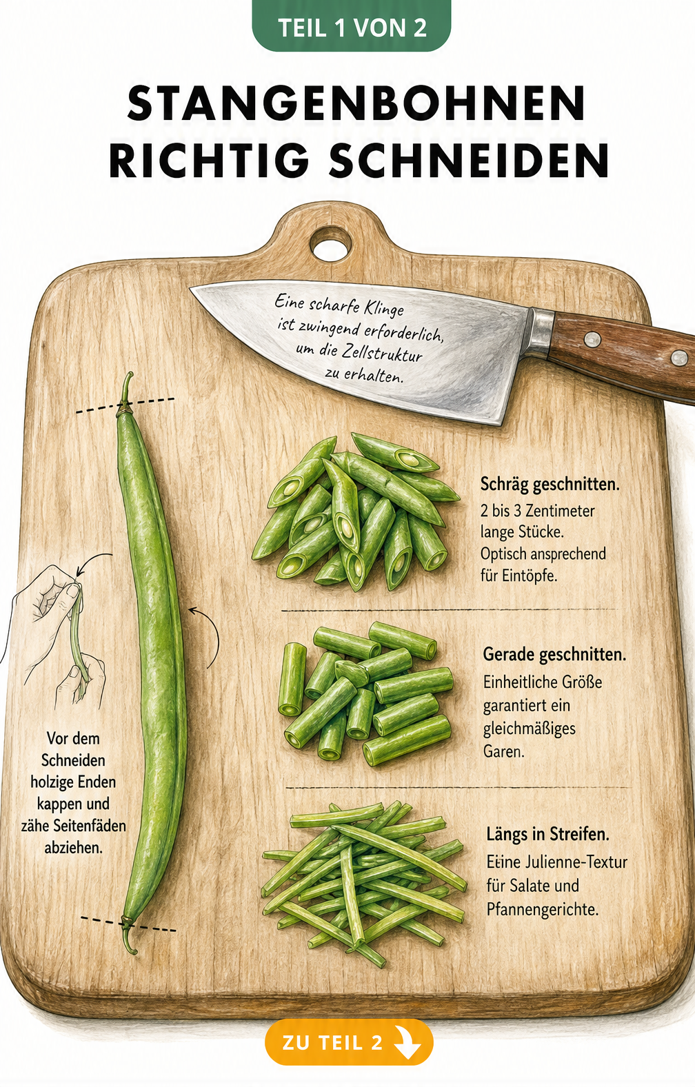 Illustration eines Holzschneidebretts mit einer ungeschnittenen Stangenbohne, Schnittlinien an den Enden und drei Häufchen geschnittener Bohnen in...