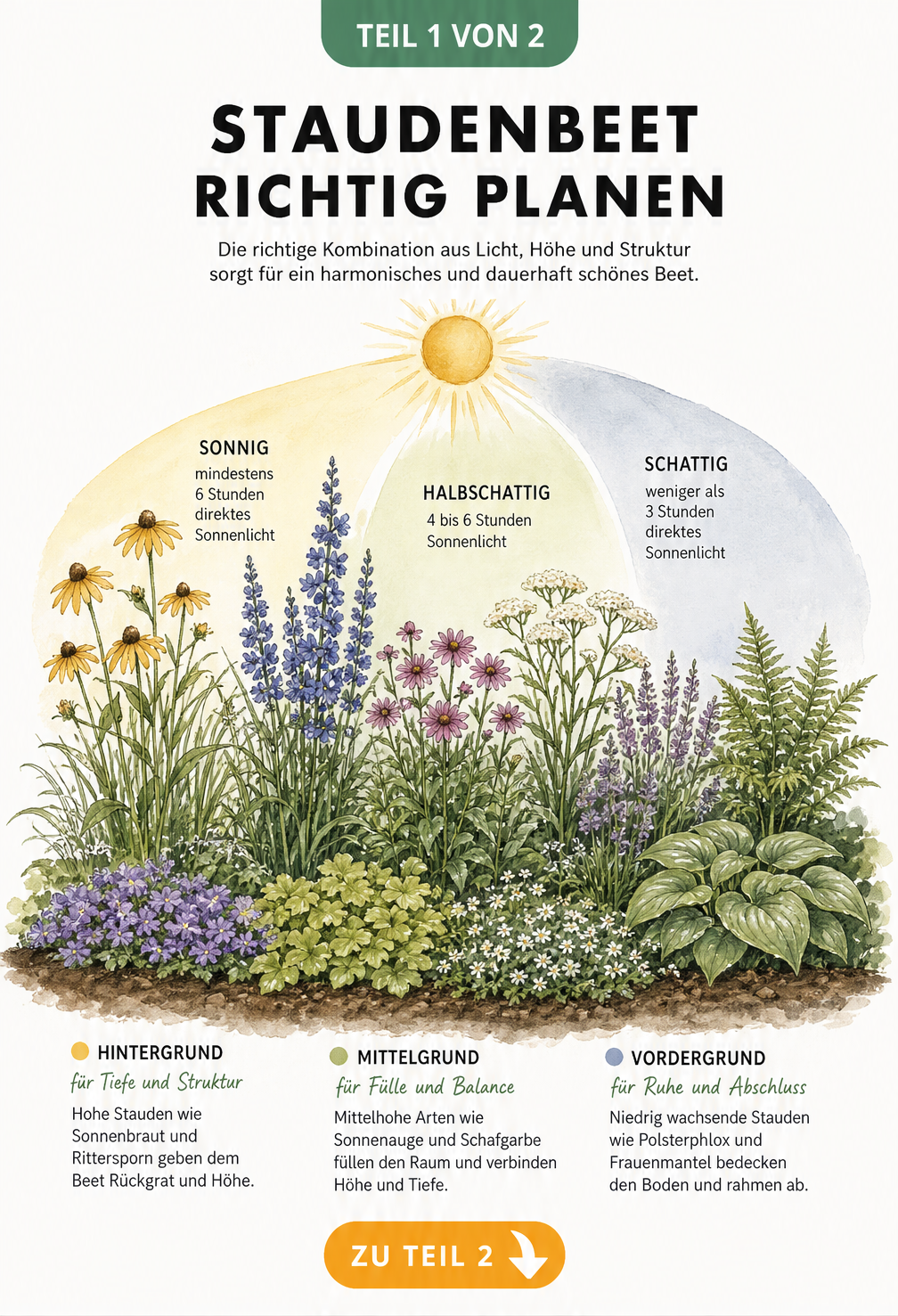 Illustration eines Staudenbeets mit drei Pflanzebenen für Bodendecker, mittelhohe und hohe Stauden sowie Lichtbedingungen