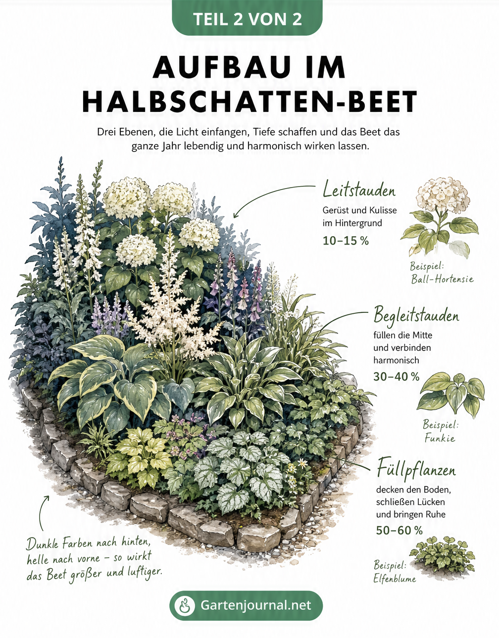 Isometrische Illustration eines Staudenbeetes mit Leitstauden, Begleitpflanzen und Bodendeckern