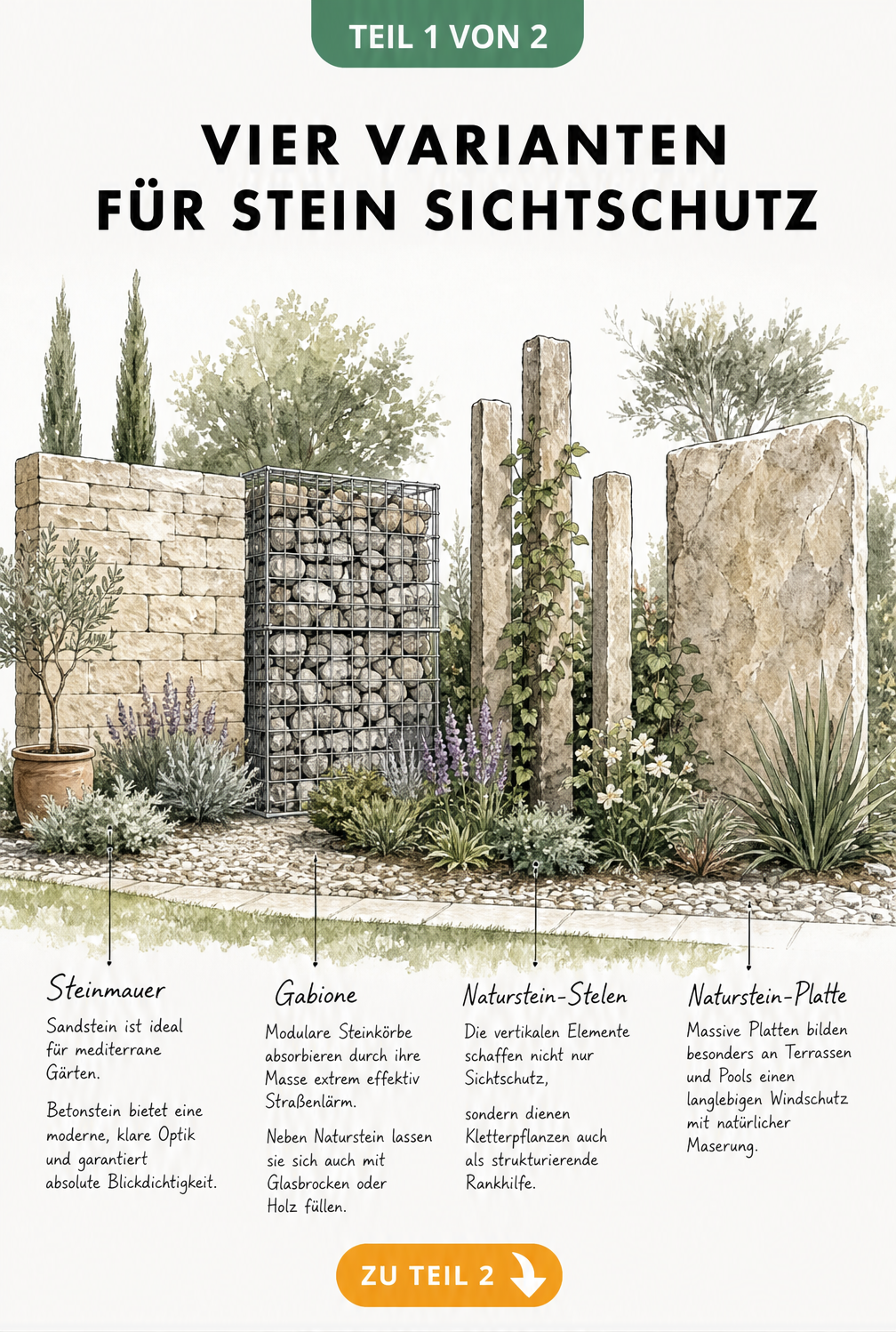 Architektonische Schnittzeichnung von vier Stein-Sichtschutz-Varianten: Steinmauer, Gabione, Naturstein-Stelen und Natursteinplatte im Garten.