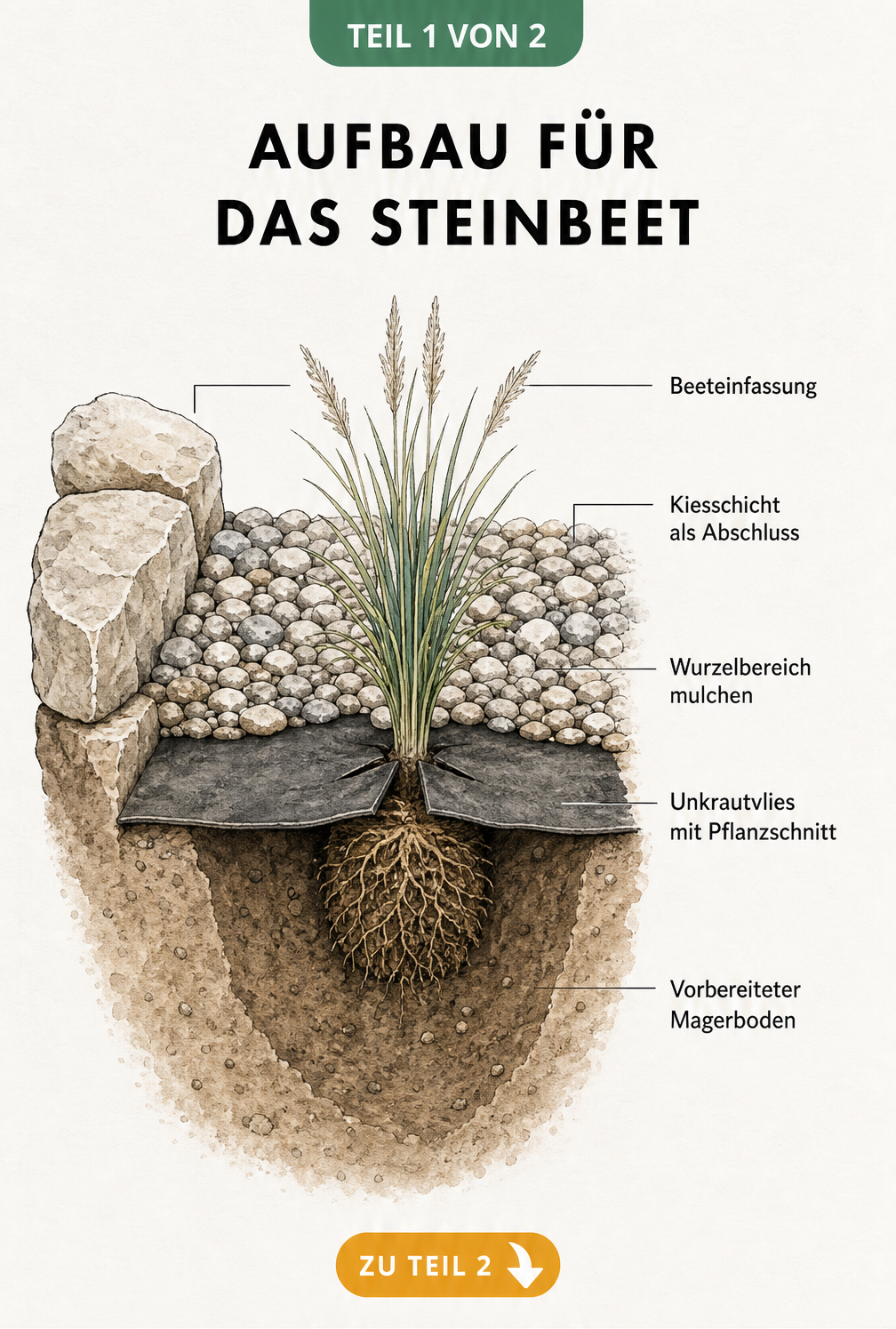Querschnittszeichnung eines Steinbeets mit Schichten aus Magerboden, Unkrautvlies, Mulch und Kies sowie einer Beeteinfassung
