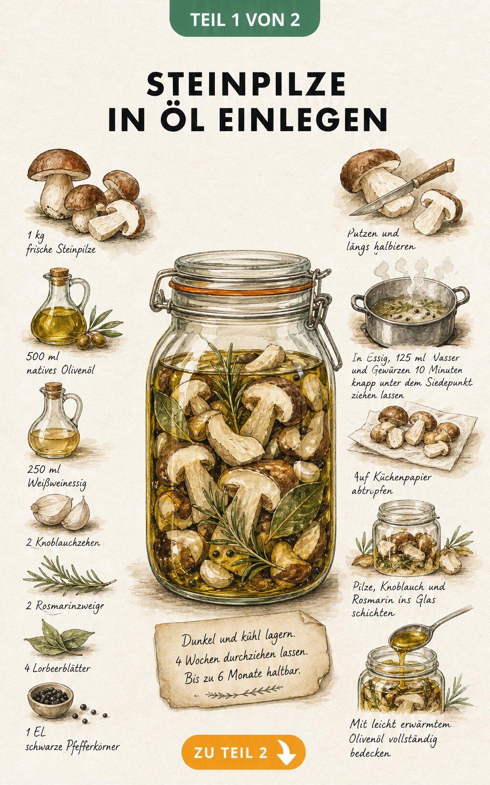 Illustration eines Einmachglases mit Steinpilzen, Olivenöl, Essig und Gewürzen sowie den Arbeitsschritten zum Einlegen