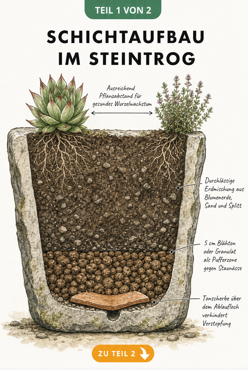 Querschnitt eines Steintrogs mit Schichtaufbau: Tonscherbe, Blähton als Drainage und durchlässige Erdmischung für Pflanzen.