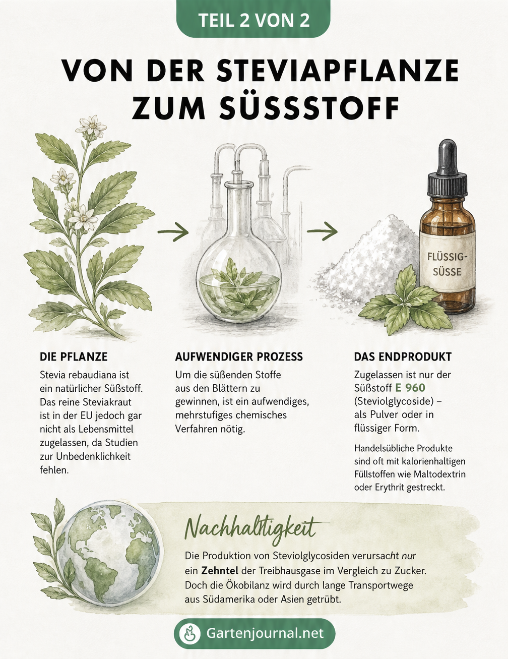 Gegenüberstellung der natürlichen Steviapflanze, dem chemischen Verarbeitungsprozess im Labor und dem fertigen Süßstoff E 960 als Pulver und Flüssigkeit.