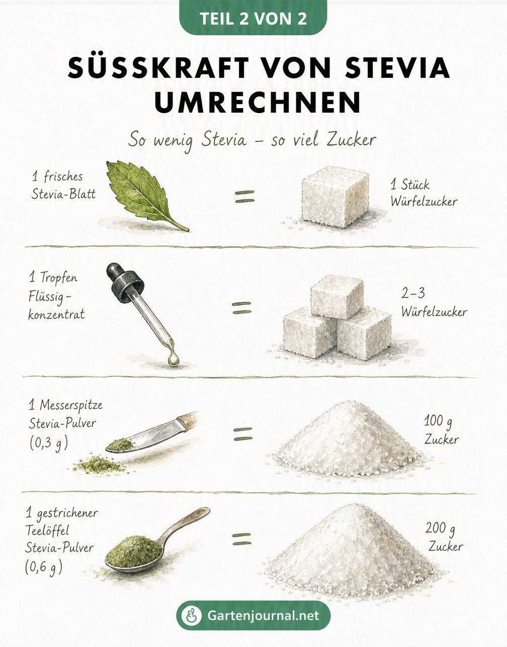 Vergleich der Süßkraft von Stevia und Zucker: Ein Stevia-Blatt, ein Tropfen Extrakt, eine Messerspitze und ein Teelöffel Stevia-Pulver im Vergleich zu...