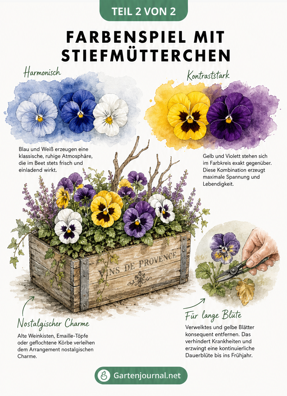 Aquarell-Moodboard mit Stiefmütterchen-Blüten in verschiedenen Farbkombinationen und einer bepflanzten Holzkiste