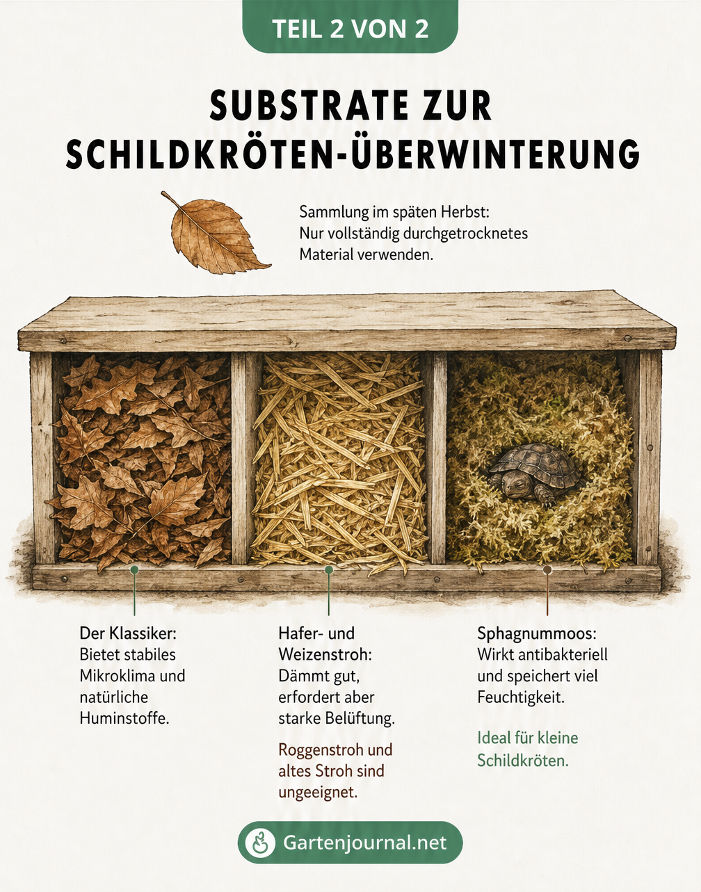 Schnittansicht einer Überwinterungsbox für Schildkröten mit den Substraten Laub, Stroh und Sphagnummoos