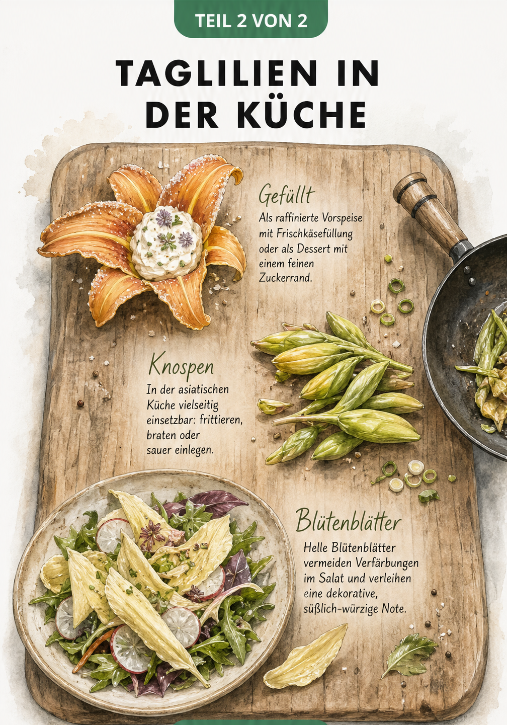 Illustration eines Holzschneidebretts mit gefüllter Taglilienblüte, Knospen für den Wok und einem Salat mit Blütenblättern