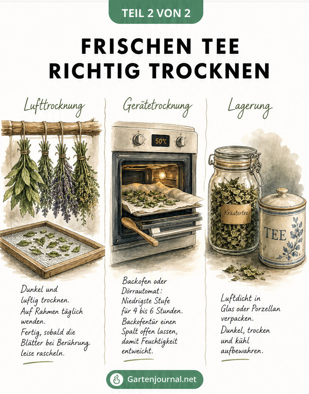 Illustration zu verschiedenen Methoden der Teetrocknung und der richtigen Lagerung