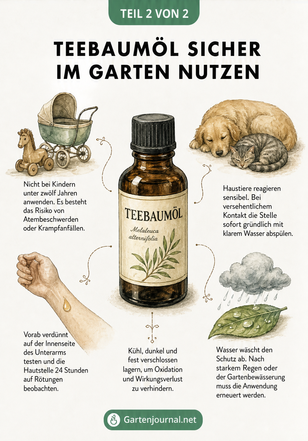 Botanische Illustration einer Teebaumöl-Flasche mit Hinweisen zur sicheren Anwendung bei Kindern, Haustieren und Regen