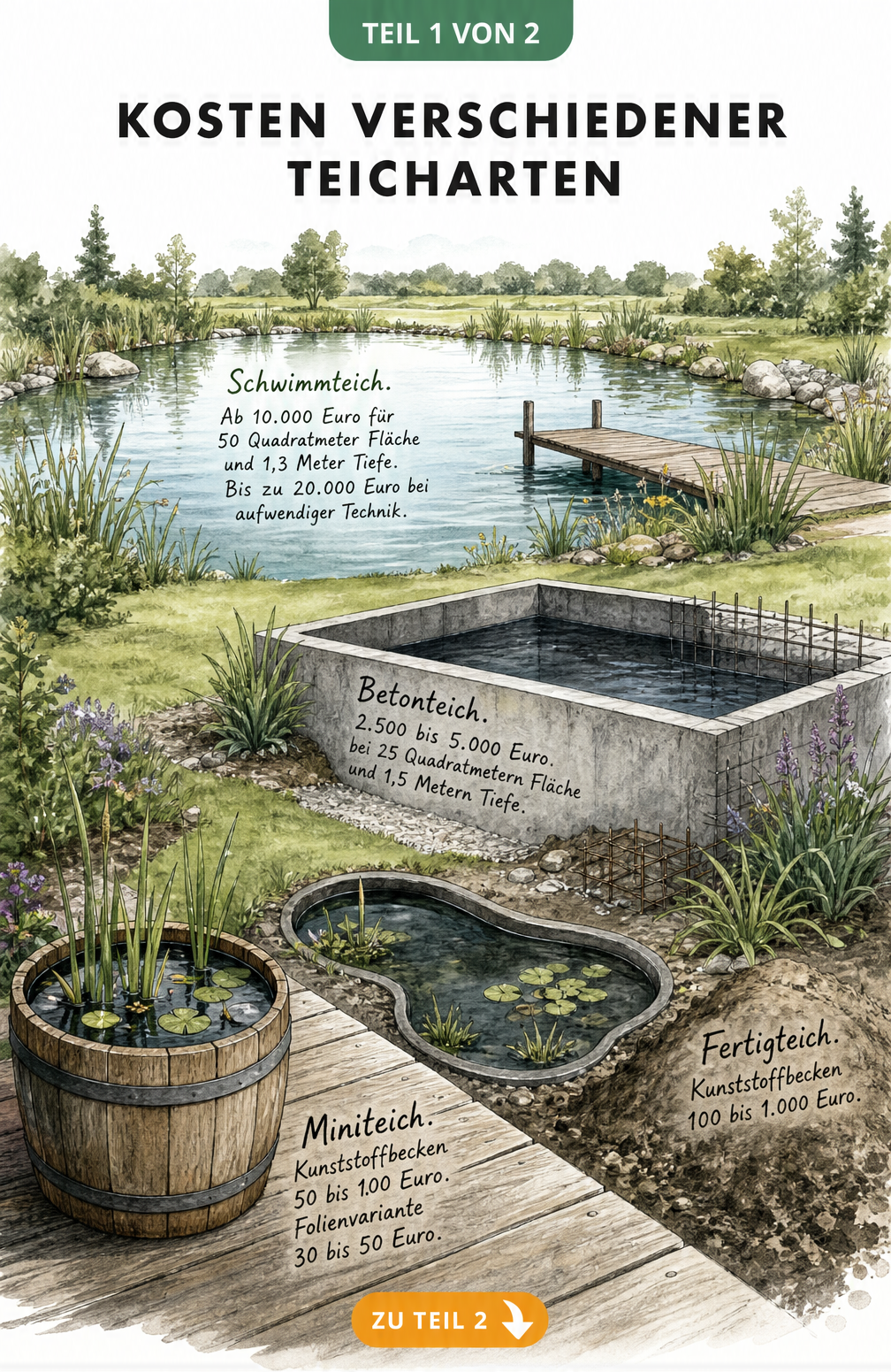 Aquarell-Zeichnung verschiedener Teicharten im Garten mit Kostenangaben für Miniteich, Fertigteich, Betonteich und Schwimmteich