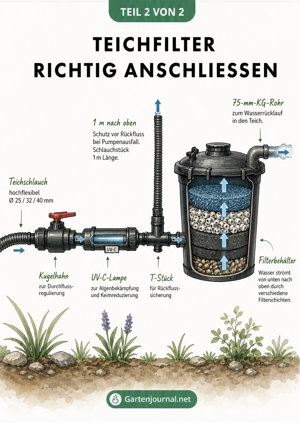 Technische Skizze zum Anschluss von Teichpumpe, UV-C-Lampe und Filterbehälter