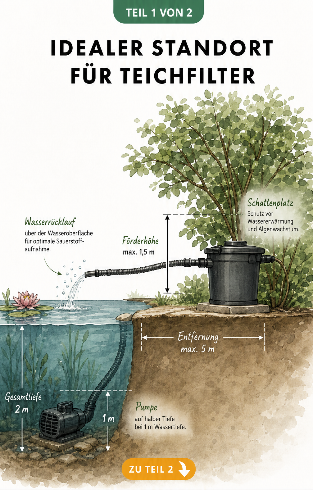 Querschnitt eines Gartenteichs mit Pumpe, Filter und Rücklauf zur Veranschaulichung des idealen Standorts