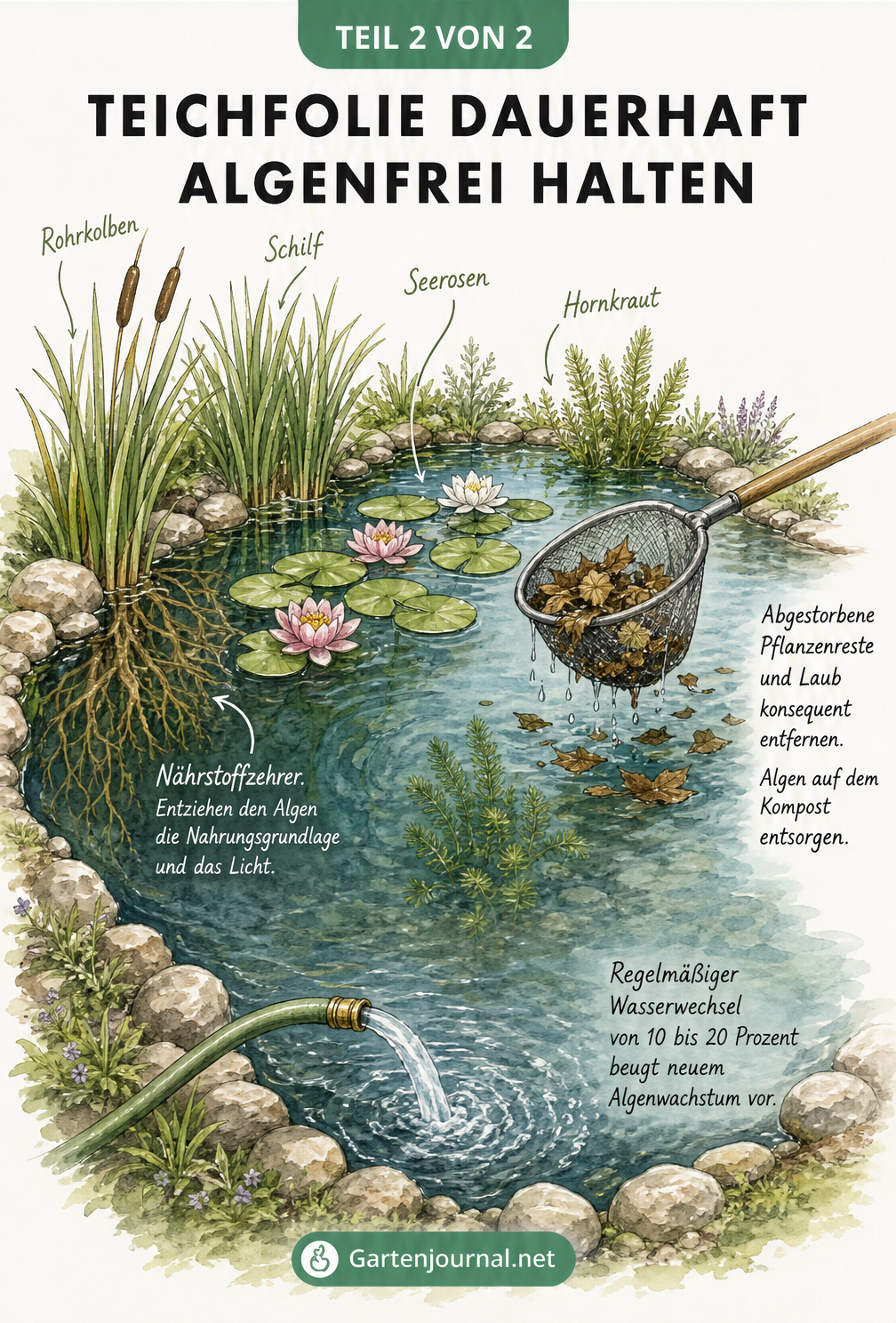 Isometrische Ansicht eines Gartenteichs mit Wasserpflanzen, Kescher und Frischwasserzufuhr