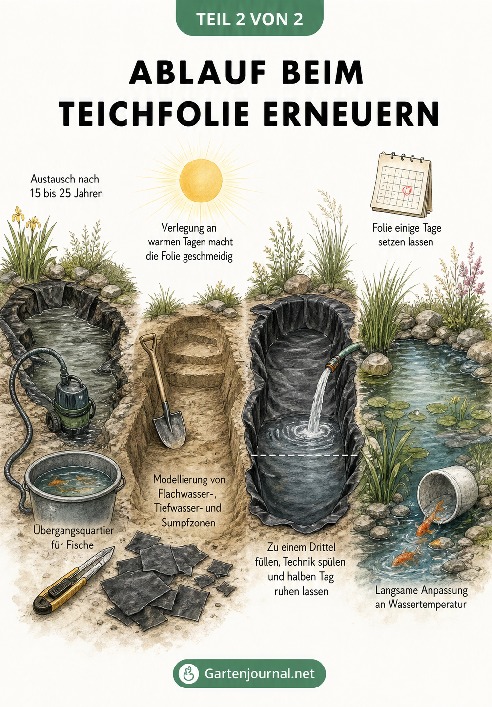 Illustration der vier Phasen beim Erneuern der Teichfolie: Wasser abpumpen, Grube modellieren, Folie verlegen und Teich befüllen