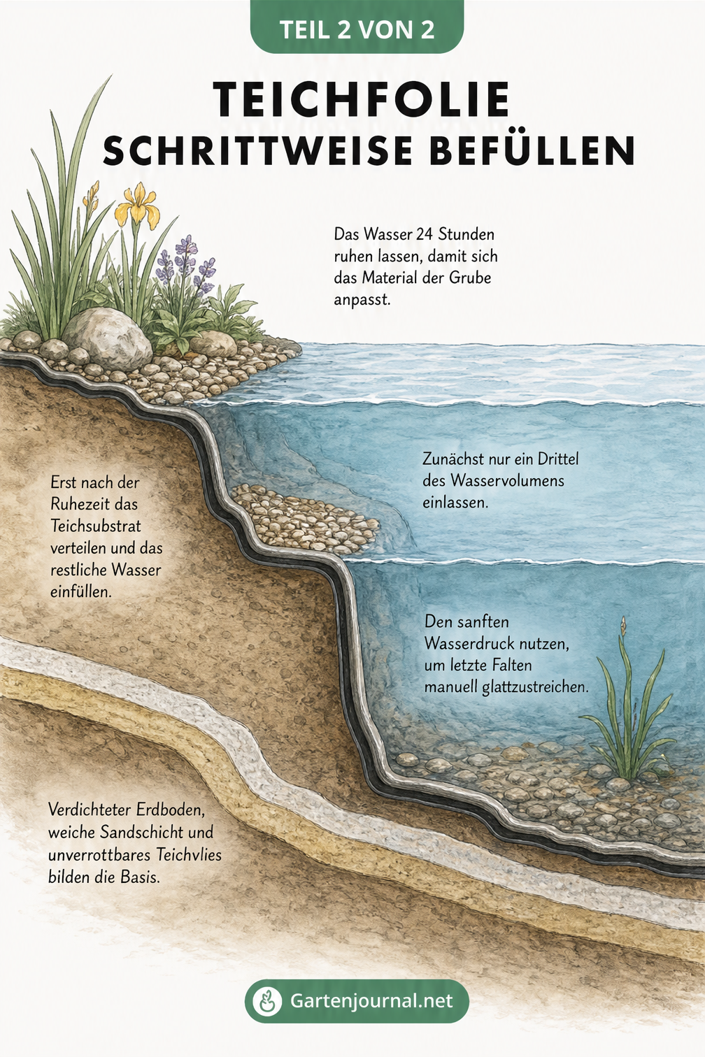 Querschnitt einer Teichkante mit zwei Tiefenstufen, der zeigt, wie sich die Teichfolie durch schrittweises Befüllen mit Wasser an den Untergrund anpasst.