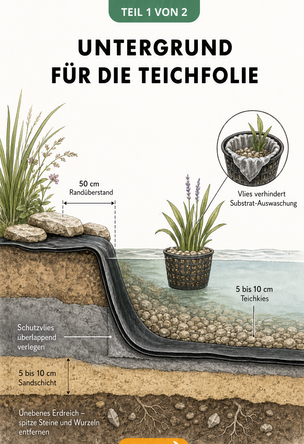 Querschnitt durch einen Teichrand mit Erdschichten, Sandschicht, Schutzvlies, Teichfolie, Teichkies und Pflanzkorb
