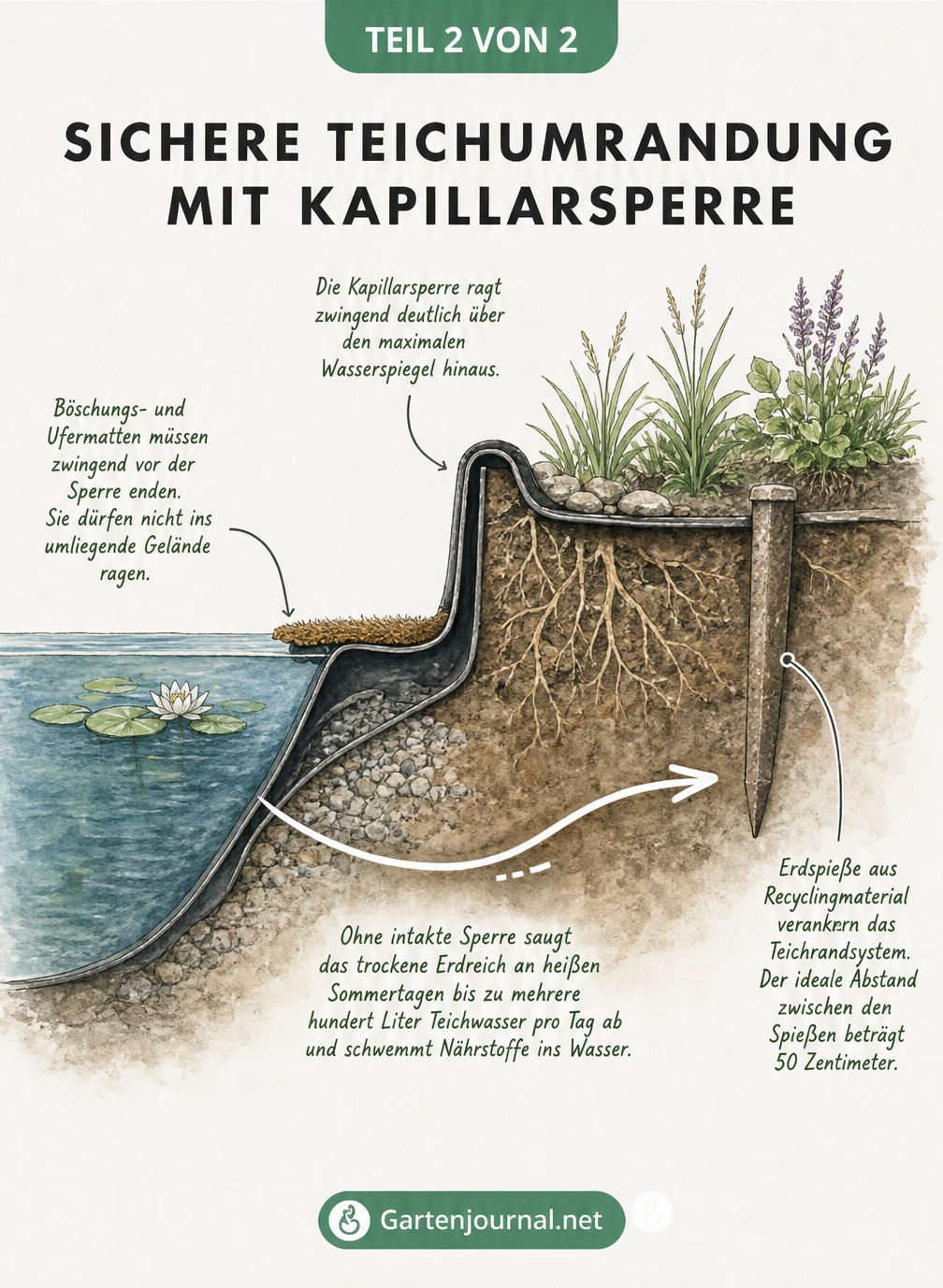 Querschnitt einer Teichumrandung mit Kapillarsperre, die das Aufsaugen von Teichwasser durch das umliegende Erdreich verhindert.
