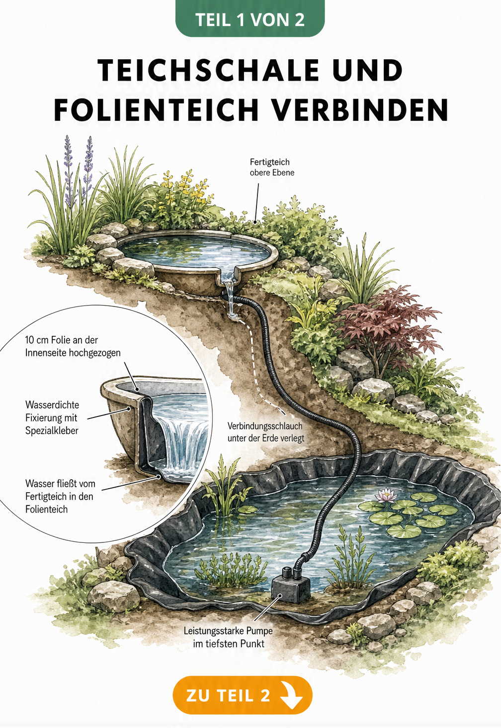 Querschnitt einer Teichverbindung: Fertigteich oben, Folienteich unten, verbunden durch versteckten Wasserschlauch und Pumpe.