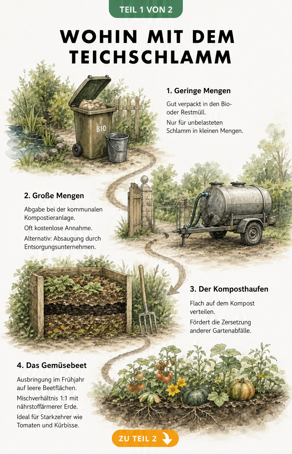 Illustration der vier Zonen zur Entsorgung von Teichschlamm: Mülltonne, Kompostieranlage, Komposthaufen und Gemüsebeet.