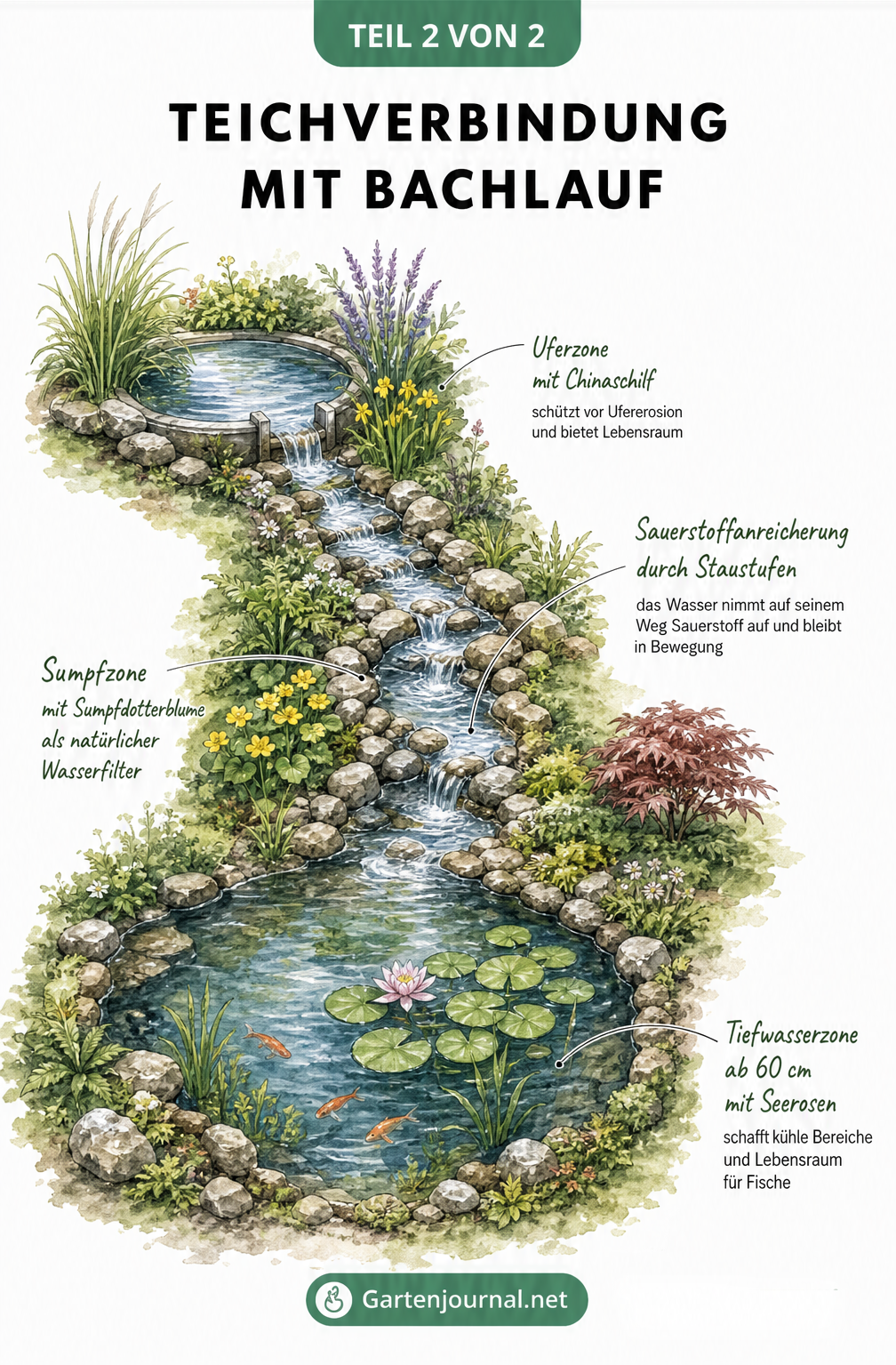 Isometrische Landschaftsillustration zweier Teiche, die durch einen Bachlauf mit Natursteinen und Bepflanzung verbunden sind.