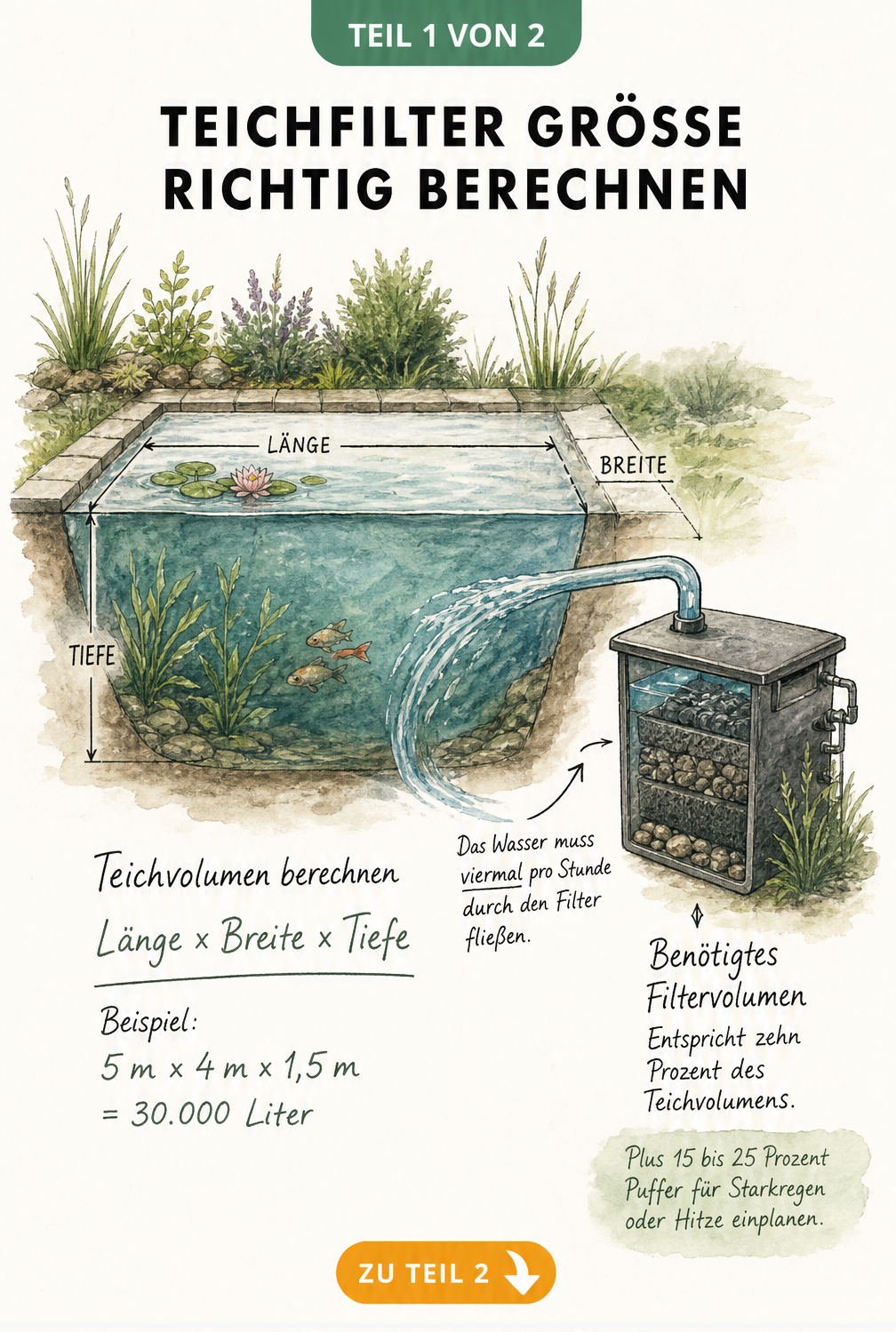 Schnittzeichnung eines Gartenteichs mit Formel zur Berechnung des Teichvolumens und Filtergehäuse